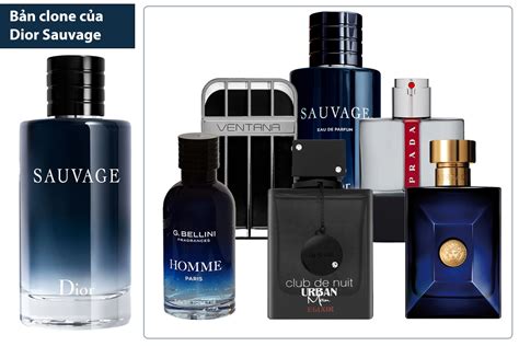 dior savauge clone|sauvage dior knockoff.